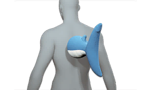 Aquan's Lost Tail