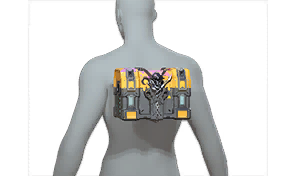 Black Roger's Treasure Chest