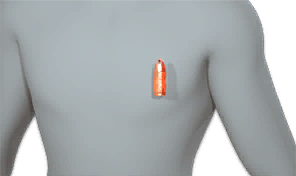 Remaining Will