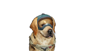 Flight Adaptation Training Helmet