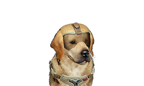 Specialized Excavation Helmet