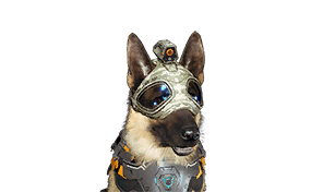 Adaptive Training Helmet