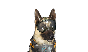 Enhanced Tracking Goggles