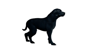 Nighttime Operations