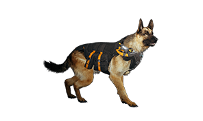 Hagios Sheepdog Body