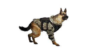 Adaptive Training Combat Suit