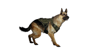 Enhanced Tracking Combat Suit