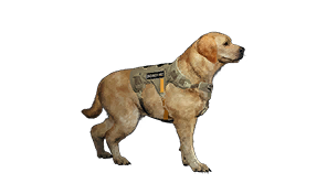 Vespers Hunting Dog Body