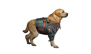 Flight Adaptation Training Suit