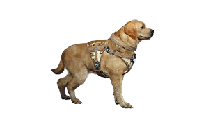 Specialized Excavation Harness