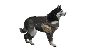 Armored Dog Detachable Protection Kit