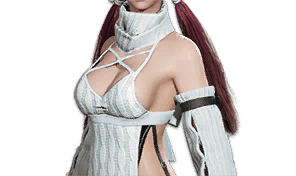 Project: Snow Rabbit