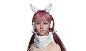 Project: Snow Rabbit