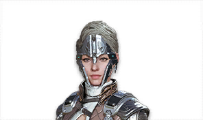 Face Shield