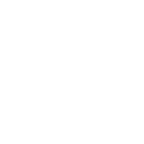 Electric Conductor icon