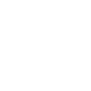 Electric Charge icon