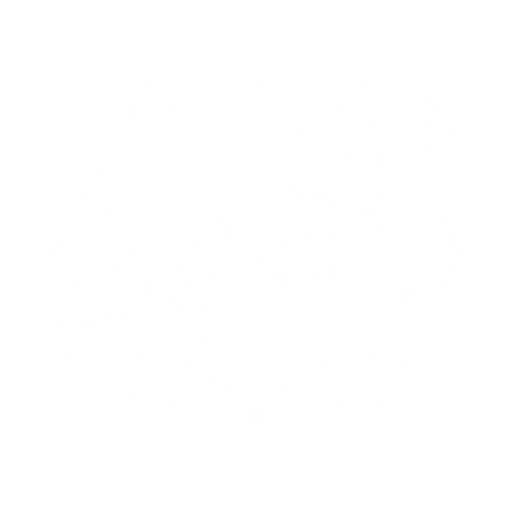 Electric Displacement Field