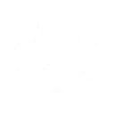 Forced Device Connection