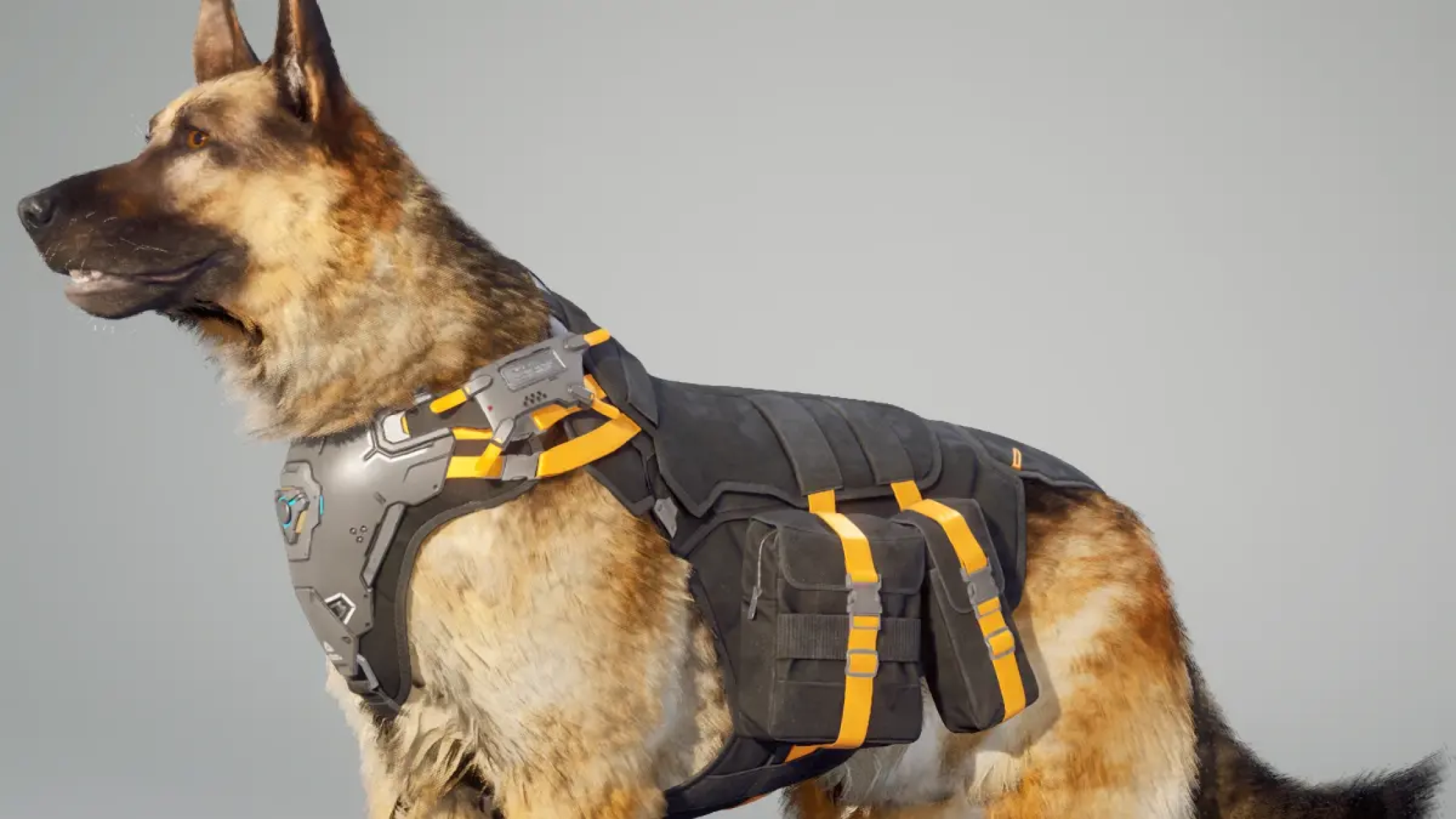 Fellows Database for The First Descendant